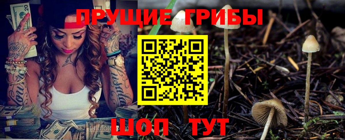 Псилоцибиновые грибы прущие грибы Чебаркуль