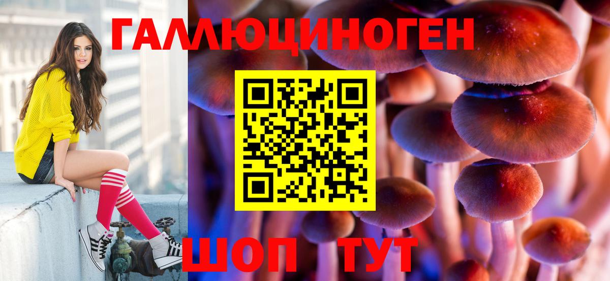 Чебаркуль  Псилоцибиновые грибы Psilocybine cubensis  Вход с VPN  Псилоцибиновые грибы ЛСД 
